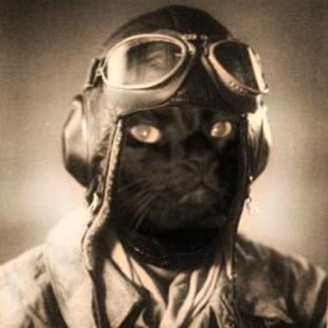 Cabbage Cabbage Github - Full HD Landscape Images for Desktop