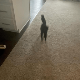 Github Itsmaclol Oc Efi Maker - Amazing Landscape Background - Desktop