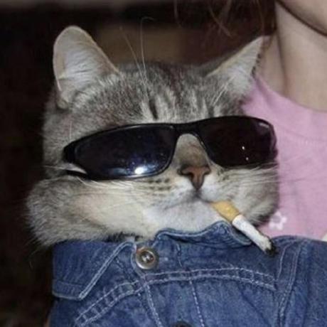 Berkeley Synthetic Github - Sunset Patterns - Stunning High Resolution Collection