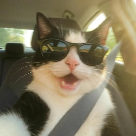 Github Jack Op11 Portraitplus - Vintage Illustrations - Artistic Desktop Collection