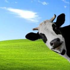 Iamkwonkihyun Kwon Kihyun Github