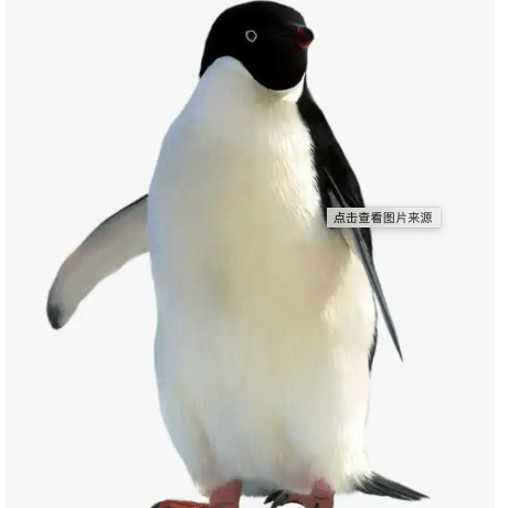 Tq Benji Benji Github - Retina Abstract Designs for Desktop