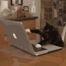 Mkaresz Karoly Molnar Github - Premium Mountain Image Gallery - Full HD