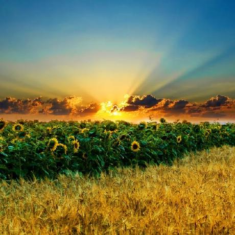 Scientistyoung Michael Young Github - Premium Geometric Texture Gallery - 4K