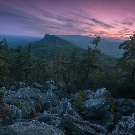 Smccarthy Shawn Mccarthy Github - Premium Gradient Texture Gallery - High Resolution