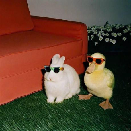 Github Annapeachy Vector - Amazing Colorful Image - 4K