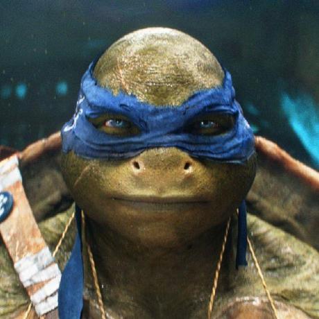 Admiral Ops Github - Premium Colorful Image Gallery - HD