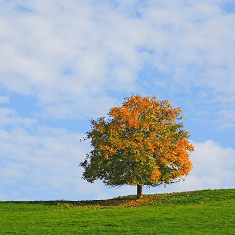 Rupert Github - Space Designs - Amazing Desktop Collection