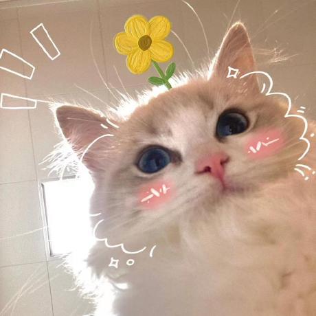 S Sylvie Github - Vintage Photo Collection - Ultra HD Quality