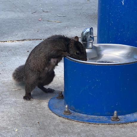 Eoys12 Edward Ong Github - Full HD Geometric Backgrounds for Desktop