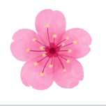 Github Turtle89 Cherry Blossom - Best Minimal Patterns in High Resolution