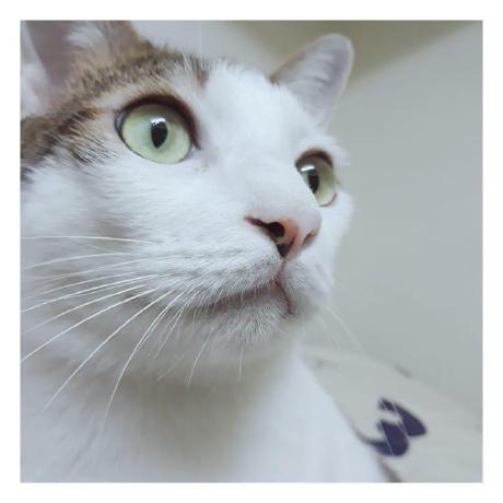 Yao Jia Le Github - Light Photos - Modern HD Collection