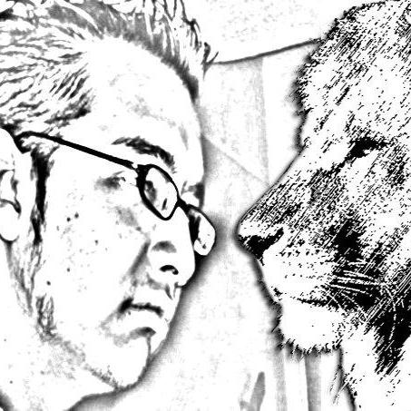 Codelion Wook Wook Github - Abstract Picture Collection - 4K Quality