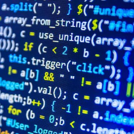 Zyy Tool Github - Premium Nature Design Gallery - Ultra HD