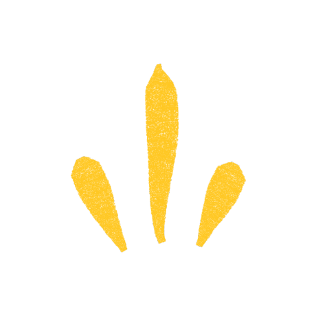 Jolly Developers Github - Full HD Landscape Pictures for Desktop