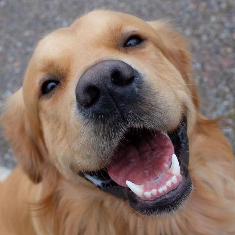 Ddoraaaaa Phuc Nguyen Github - Premium Abstract Image Gallery - Mobile