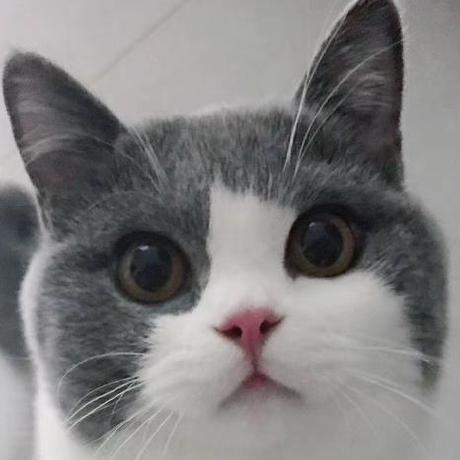 Wdvipa Lin Shuchen Github - Desktop Geometric Photos for Desktop