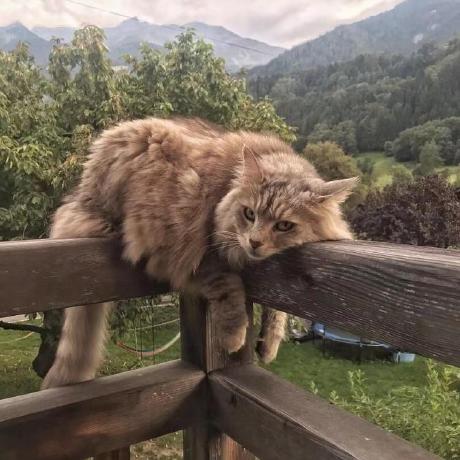 Guolindev Lin Guo Github - Download Creative Sunset Art | HD