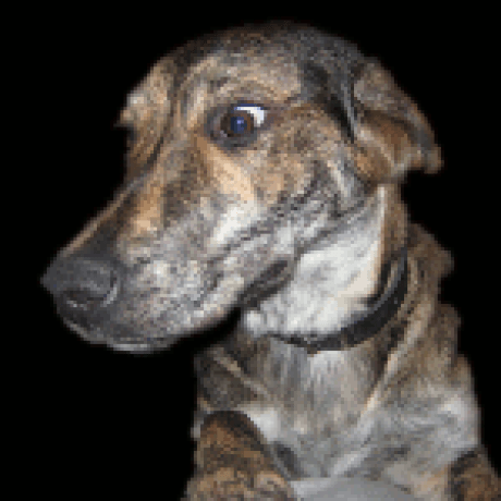 Releases Dimok789 Homebrew Launcher Github - Retina Dark Photos for Desktop