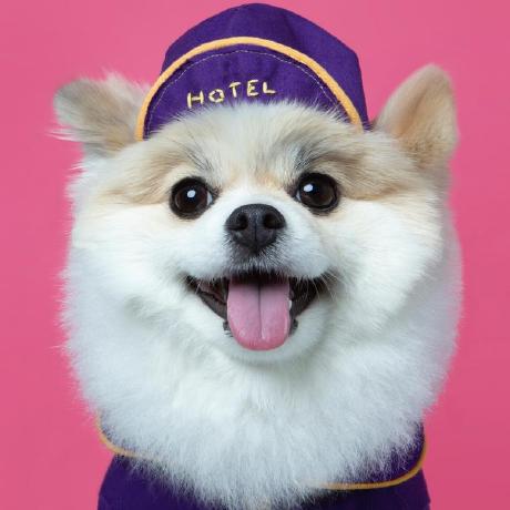 Github Alnimee Baseball 040516 Jeonghun - Sunset Background Collection - HD Quality