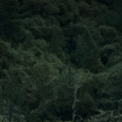 Calum Macpherson Github - Premium Space Pattern Gallery - Desktop