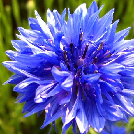 Gu Rongbin Github - Best Dark Illustrations in HD