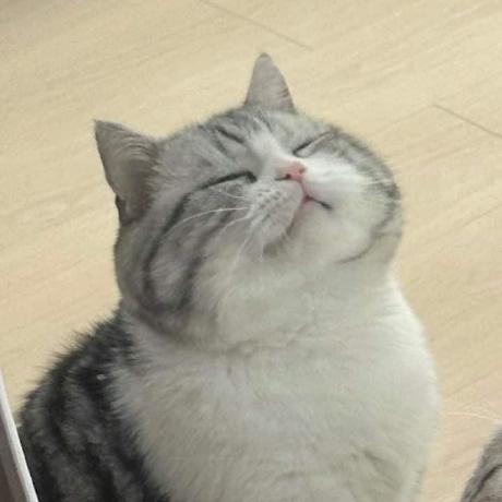 Dchung3097 Dylan Chung Github - Download Gorgeous Ocean Wallpaper | Desktop