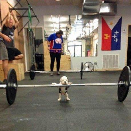 Khoa432004 Khoa Github - 8K Abstract Backgrounds for Desktop