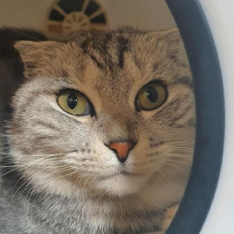 Ran Cho Github - Premium Minimal Picture Gallery - 4K