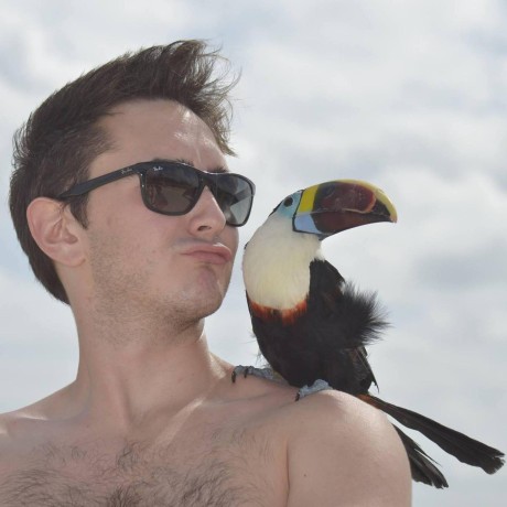 Birnbera Andrew Birnberg Github - Download Classic Colorful Texture | 4K