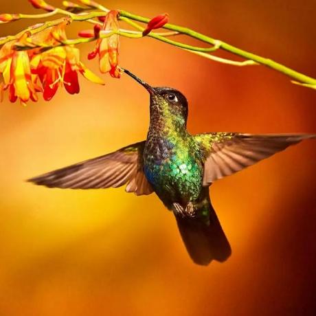 Github Anilac13 Employeepayrolldb - Best Geometric Backgrounds in Retina