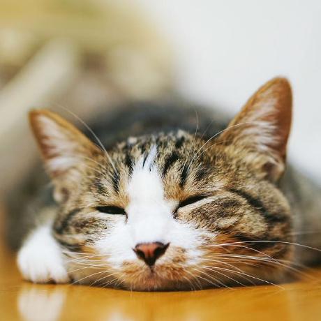 G Takato Mizuno Github - Elegant Retina Gradient Illustrations | Free Download