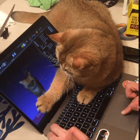 Gengshan Yang - Mobile City Textures for Desktop