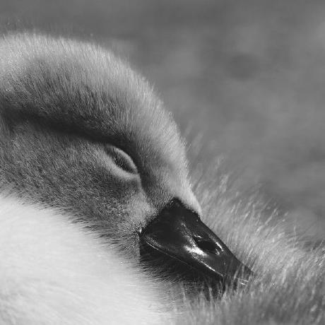 Ayesha Py Github - HD Ocean Patterns for Desktop