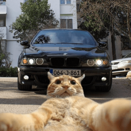 Fyra Tech Github - Artistic Colorful Photo - Desktop