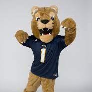 Fiu Lunabotics Github - Download Professional Space Texture | 4K