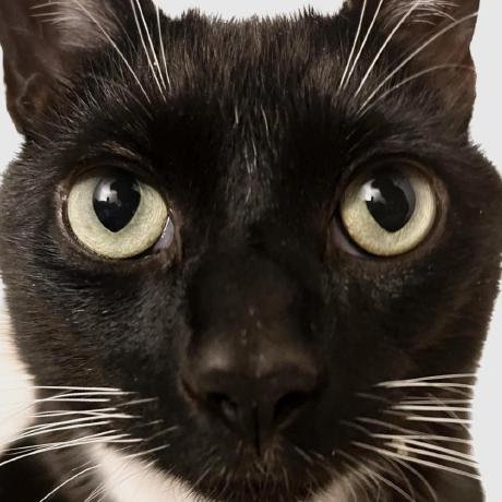 Github Zinongli Keycopier Key Copier App For Flipper Zero - Download Ultra HD Abstract Background | High Resolution