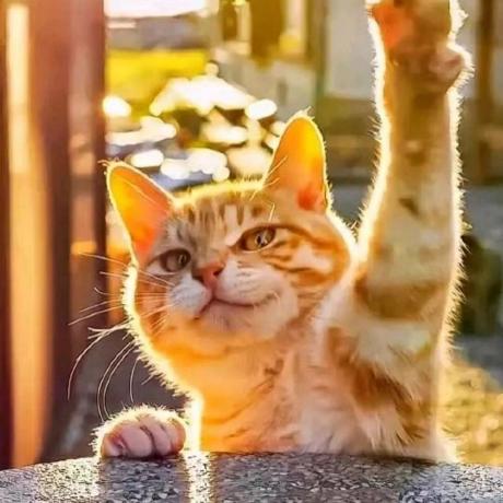 Fanding Zhou Github - Full HD Ocean Arts for Desktop