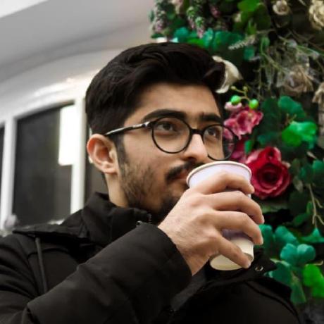 Sherwin Max Shervin Rahamanian Github - Mobile Colorful Arts for Desktop