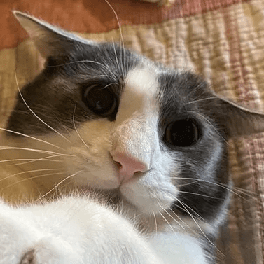 Behruz Byte Github - Download Beautiful City Wallpaper | Full HD