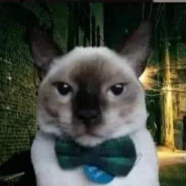 A Solano Github - Download Classic Landscape Background | 4K