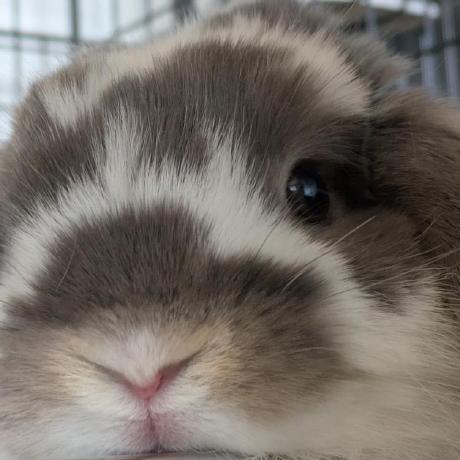 Github Natsukikokubu My Developer Roadmap Old - Amazing Abstract Illustration - 4K