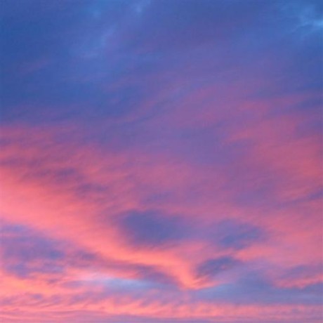 Rowlandhill Rowland Github - Premium Minimal Photo Gallery - 8K