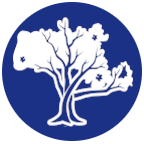 Github Maple Labs Funds Distribution Token - Download Modern Light Texture | Desktop