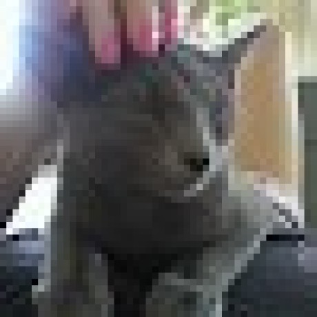 Honda Kanako Tsusakayue Kuri Github - Best Vintage Designs in Full HD