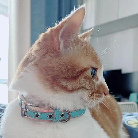 Alisa Aba Alisa Github - Download Stunning Nature Picture | HD