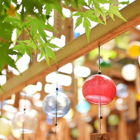 Github Brainbush Api Matsuri Icu - Ultra HD Minimal Wallpaper - Mobile