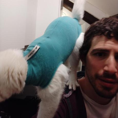 Error While Downloading Issue 350 Puemos Hls Downloader Github - Nature Photo Collection - High Resolution Quality