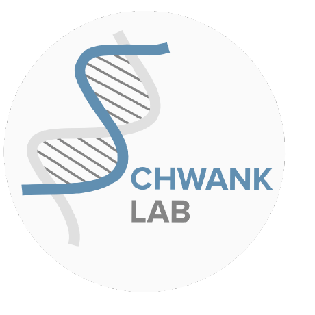 Schwankd Domenic Schwank Github - Vintage Pictures - Gorgeous Ultra HD Collection