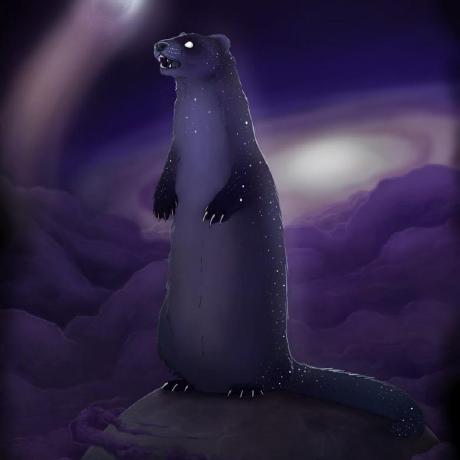 Wolfromm Frederic Ferret Github - 4K Landscape Images for Desktop